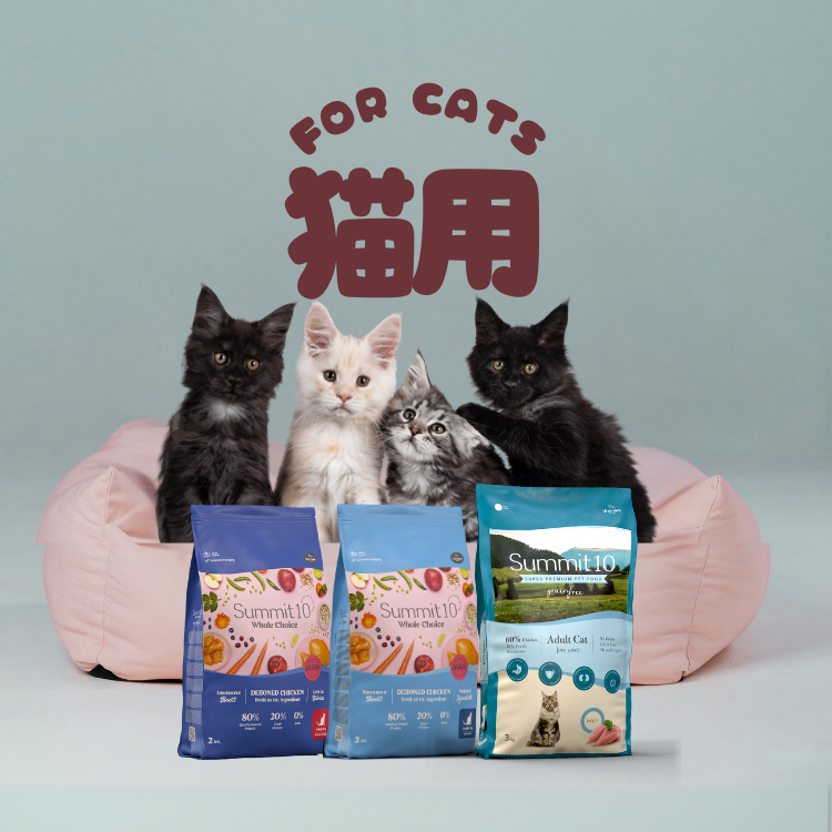 猫用製品