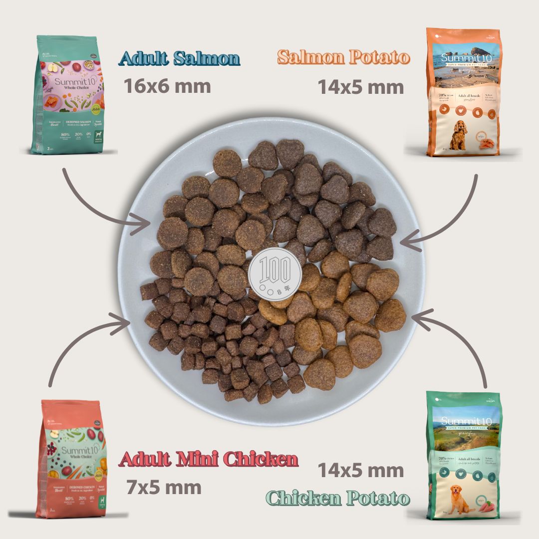 DOG ADULT MINI CHICKEN 100gr（小型成犬）